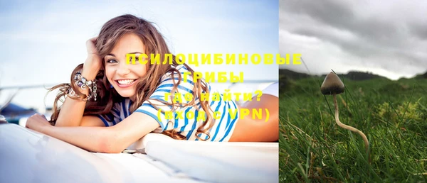не бодяженный Корсаков