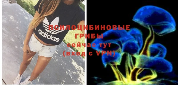 не бодяженный Корсаков