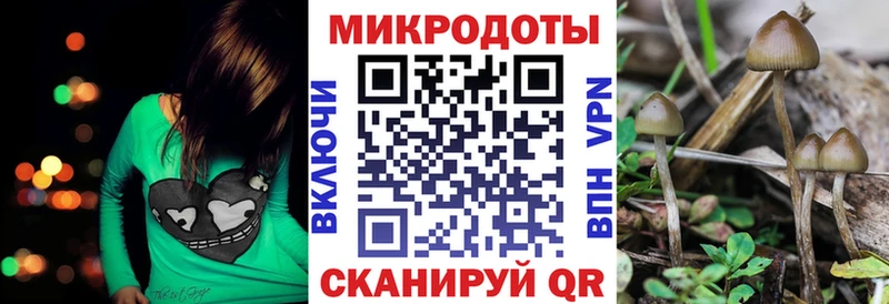 Купить где  Солигалич  Галлюциногенные грибы Magic Shrooms 