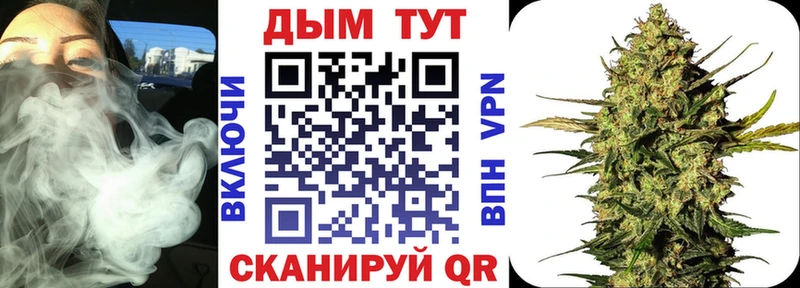 Бошки марихуана THC 21%  Купить где  Солигалич 